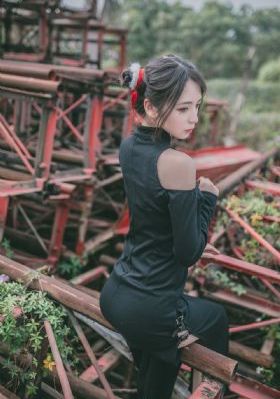 电视剧珠帘玉幕